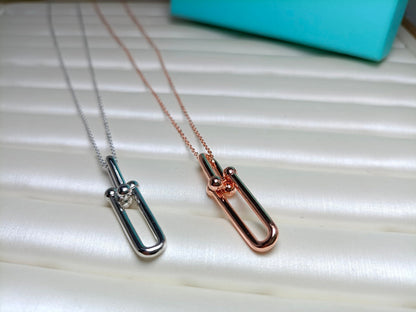 [Lume Jewelry]HARDWEAR DROP DOUBLE LINK PEDANT NECKLACE