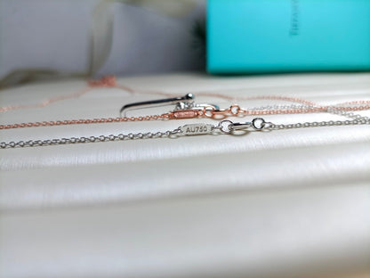 [Lume Jewelry]HARDWEAR DROP DOUBLE LINK PEDANT NECKLACE